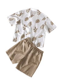 Men's Casual 2pcs Short Sleeve Shirt & Elastic Waist Straight Leg Shorts Set